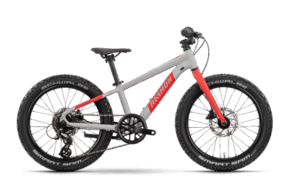 R Raymon  Yanga 20 Pro